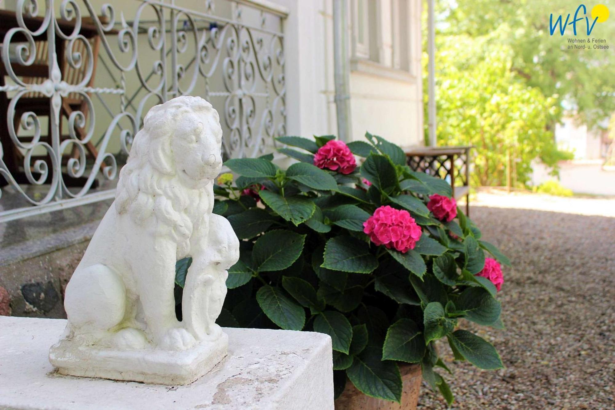 Sanssouci Sanddorn *